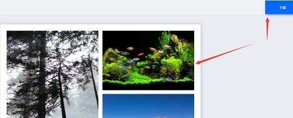 202302242121314925c4c26e5ec473f2c33ca44c063542996 202302242121314925c4c26e5ec473f2c33ca44c063542996