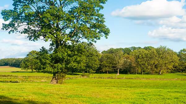 2023030520451161374af66523cf64da5545e1d393bd2af93336722