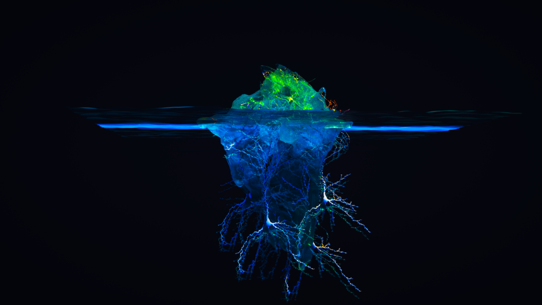 20230725183357d96b18c53e8a19f7c42776c85f969233c38f0b623 20230725183357d96b18c53e8a19f7c42776c85f969233c38f0b623