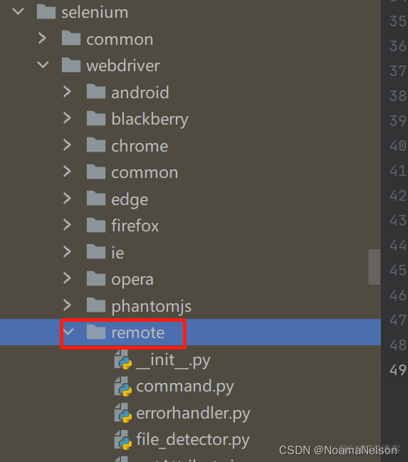 selenium源码通读·12 |webdriver/remote分析