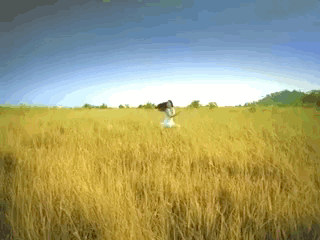 比猎豹快两倍多！浙大校友研发软体机器人速度超越F1赛车，登Nature子刊