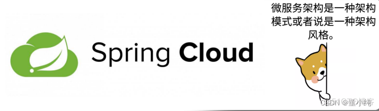 SpringCloud-全面详解（学习总结---从入门到深化）