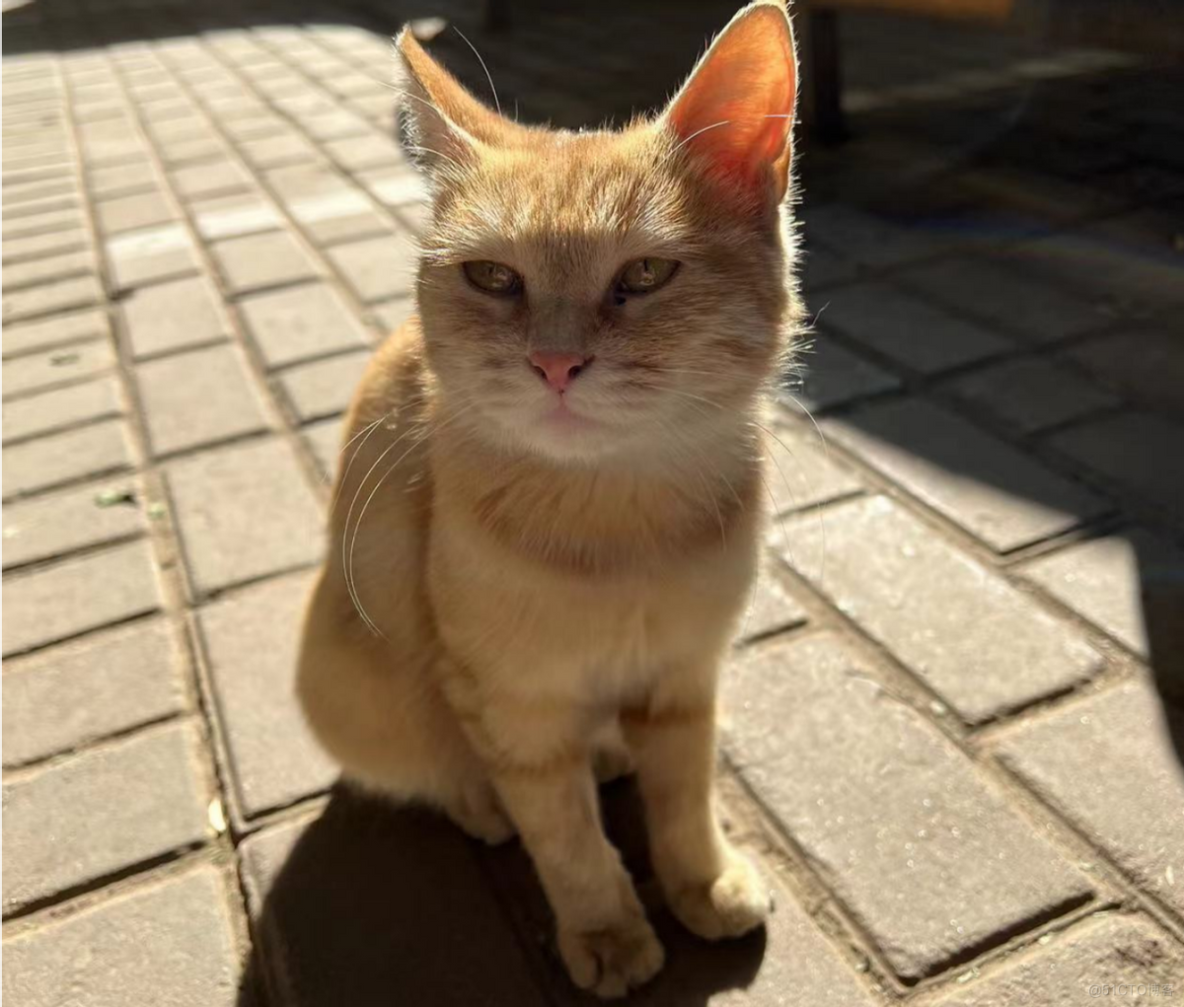 JavaScript奇淫技巧：隐写术