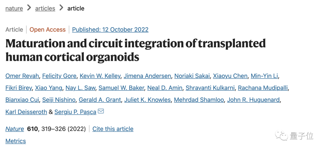 人鼠混合大脑出现了！斯坦福大学7年研究登Nature