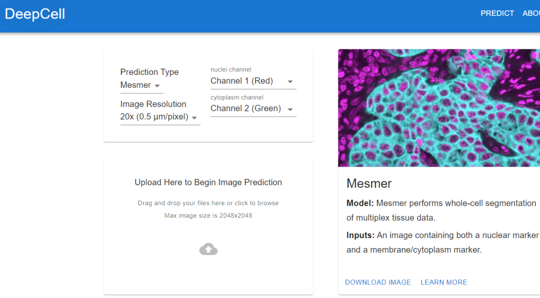 从手工作业到工业革命！Nature文章：生物图像分析被深度学习彻底改变的五个领域