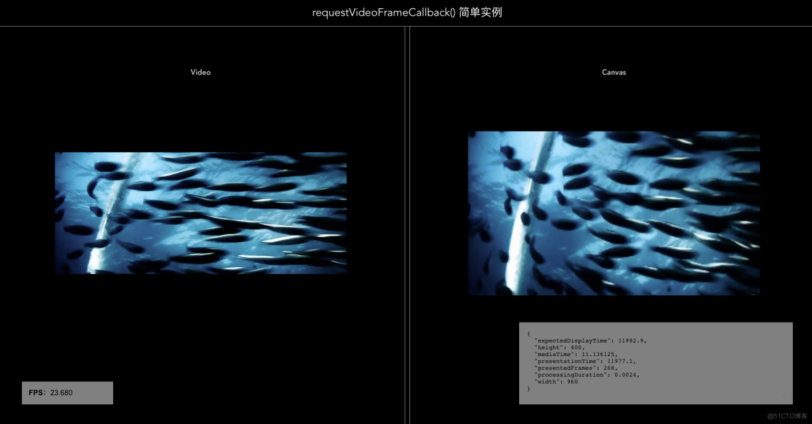 requestVideoFrameCallback() 简单实例