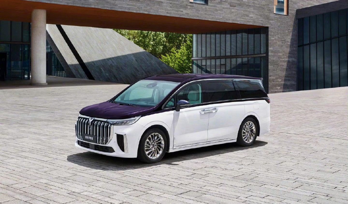 岚图梦想家私人定制版6月1日上市-车内配升降大彩电-四座布局