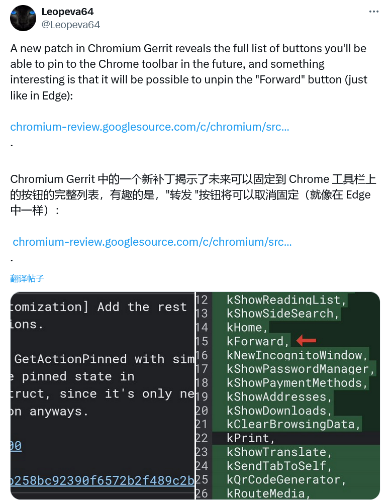 打印等-谷歌测试-种按钮-浏览器新特性-工具栏可固定下载-19-Chrome