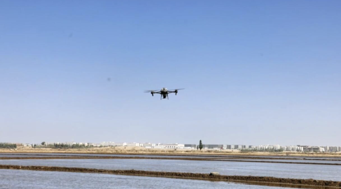 水稻无人机精量播种-20分钟完成20余亩任务-新疆和田