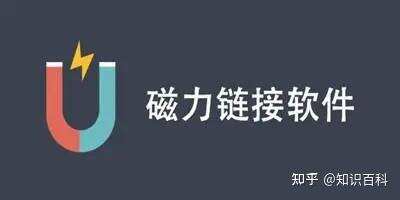 常用 磁力搜索 磁力链接 工具使用教程